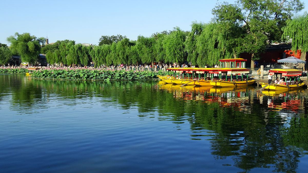 Пруд Лотоса в парке Бэйхай Пекин